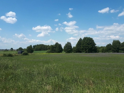 Działka budowlana Rybno powiat działdowski