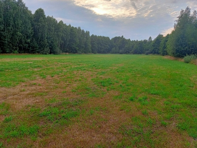 Działka łąka rolno rekreacyjna. Dobra lokalizacja 100 Km od Warszawy