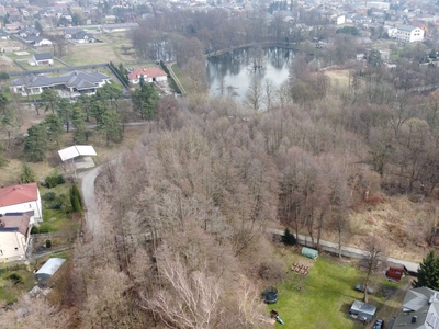 Rezerwacja/ Działka leśna w centrum Żarek