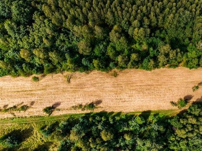 Działka pod budowę domu z warunkami zabudowy