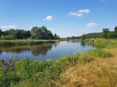 Działka rekreacyjna nad samym brzegiem Pilicy