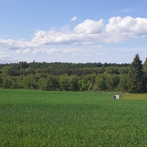 Sprzedam działkę budowlaną Żuławka