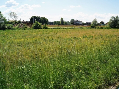 Działka budowlana Toruń