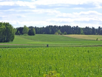 Działka budowlana Jasionka