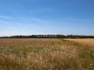 Działka budowlana Boruchowo