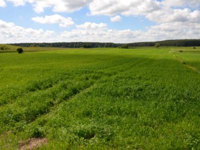 Działka budowlana Podole Małe