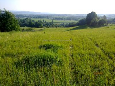 Działka budowlana Witanowice