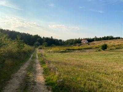 Działka Cielętniki