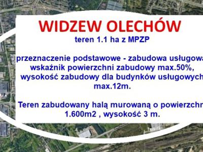 Działka, olechów