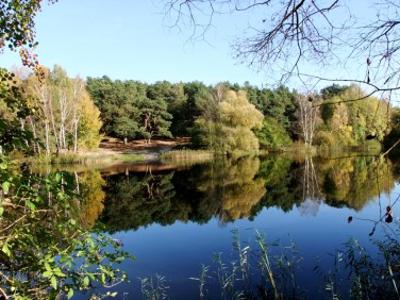 Działka rekreacyjna Bartoszewo