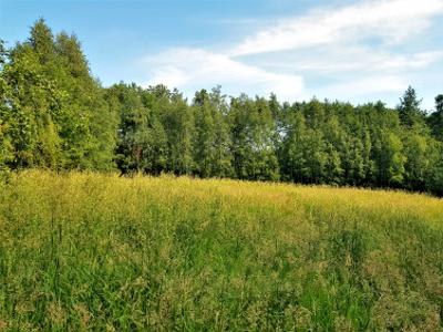 Działka rolno-budowlana Pisarzowice