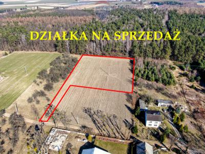 Działka siedliskowa Załuski