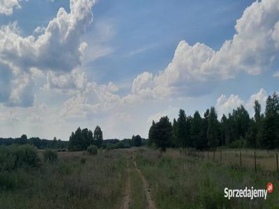 Sokołówek 2.1ha-7km Radzymin,w tym 5000m2 działka budowlana