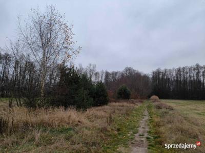 Sprzedam działkę 13,5a Rybitwy, Połaniec