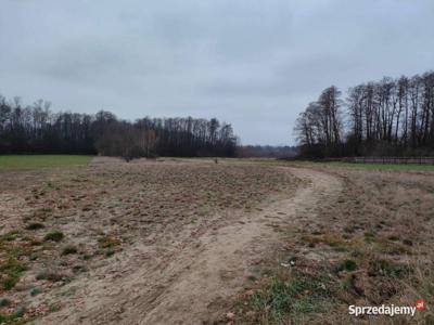 Sprzedam działkę 14a Rybitwy, Połaniec