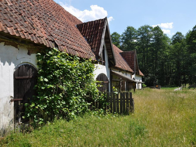 Rozogi Szczycieński WarmińskoMazurskie Biuro Nieruchomości