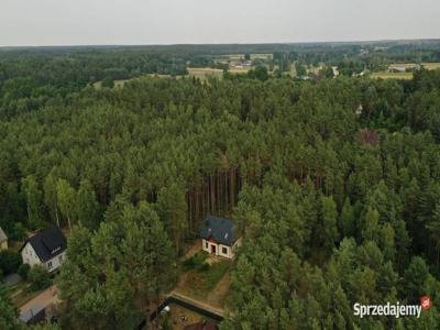 WYJĄTKOWY DOM, PUSZCZA BIAŁA, LAS, RZEKA