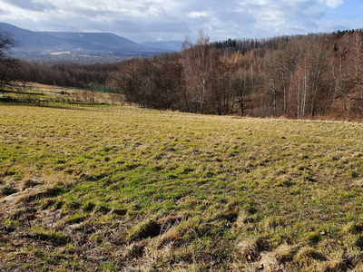 małopolskie, wadowicki, Andrychów, Zagórnik, os. Biadasów I