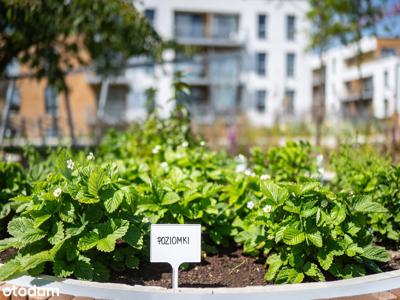 3-pokojowe mieszkanie 60m2 + balkon Bez Prowizji