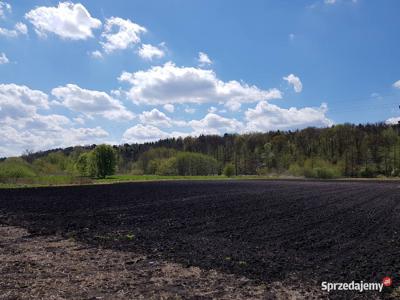 Działka przy ulicy Gąsek w Powsinie 10330 m2