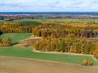 Działka rolno-budowlana Kruszyn