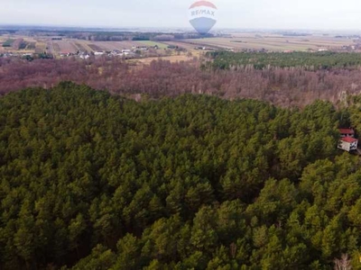 Działki, Ziewanice