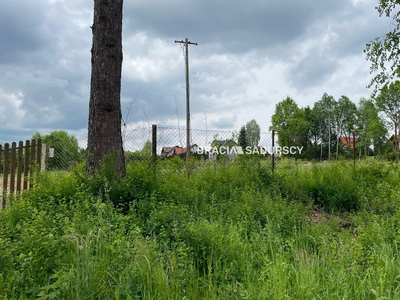 Krakowski, Świątniki Górne, Olszowice, Do Dworu