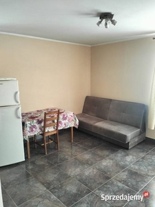 Piękna kawalerka w centrum Katowic / bachelor flat to rent