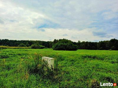 Działka pośród lasów Malerzów gm. Dobroszyce