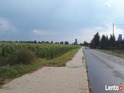 działka zagrodowo-siedliskowa, Kutno, Sieciechów