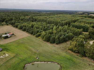 Działka na sprzedaż, Nowomiejski, Tereszewo