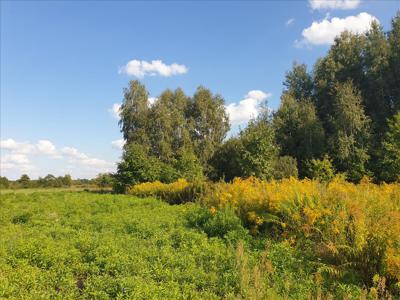 Działka na sprzedaż, Wołomiński, Piaski