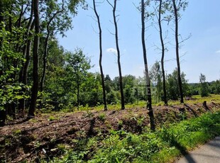 Działka budowlana Lipnica Dolna gm. Lipnica Murowana