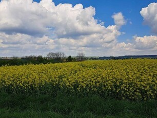 Działka budowlana Przybysławice gm. Skała