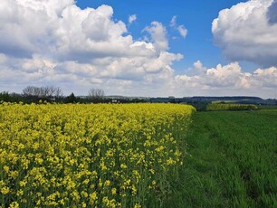 Działka budowlana Przybysławice gm. Skała