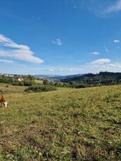 Działka inwestycyjna Falsztyn gm. Łapsze Niżne, Królowej Polski