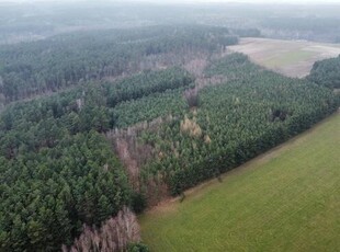 Działka leśna Gorzakiew gm. Gnojno