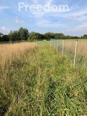 Działka nad jeziorem z linią brzegową