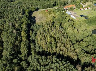 Działka rolna Trzciel-Odbudowa gm. Miedzichowo,