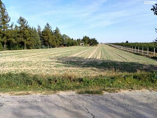 Działka rolno-budowlana Witaniów gm. Łęczna