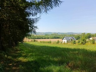 Działka w miejscowości Ladzin, gmina Rymanów