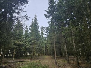 Działki bud. 1202M2; WZ; STUDNIE