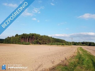 Działki rolne i budowlane w miejscowości Nojewo - gmina Pniewy