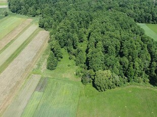 Las, działka leśna 0,6ha, Ustrzesz