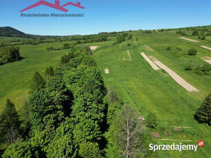 Oferta sprzedaży gruntu 350000m2 Daliowa