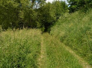 Piękna 1,28 ha działka na terenie Gór Słonnych, Bezmiechowa