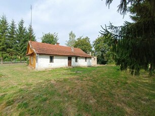 Siedlisko wiejskie na sprzedaż Grodzisko Dolne