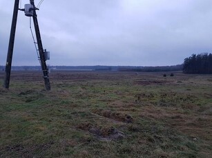 Sprzedam działkę 24737m2 pod inwestycje farmę Grabów Rycki