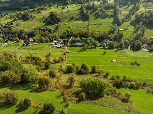 Widokowa działka rolna w Brzegach