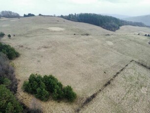 Widokowa działka w Rzepedzi